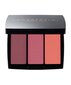 Põsepuna Anastasia Beverly Hills Blush Trio Berry Adore цена и информация | Päikesepuudrid ja põsepunad | hansapost.ee