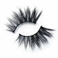 Kunstripsmed Sosu Cosmetics Sinful Lashes Envy цена и информация | Kunstripsmed, ripsmeliim ja ripsmekoolutajad | hansapost.ee