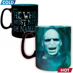 ABYstyle Harry Potter Voldemort hind ja info | Fännitooted mänguritele | hansapost.ee