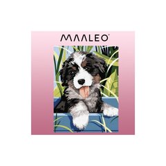 Tapyba pagal skaičius 40x30cm.  - Maaleo dog 22780 цена и информация | Репродукции, картины | hansapost.ee