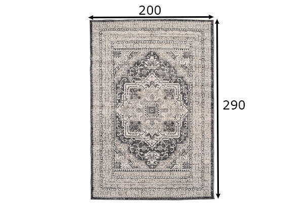 Vercai Rugs vaip Florence 200x290 cm цена и информация | Vaibad | hansapost.ee