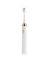 Beautifly B-Toothbrush White Smile hind ja info | Elektrilised hambaharjad | hansapost.ee