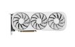 Zotac Gaming GeForce RTX 4070 Ti Super Trinity OC White Edition (ZT-D40730Q-10P) цена и информация | Videokaardid | hansapost.ee