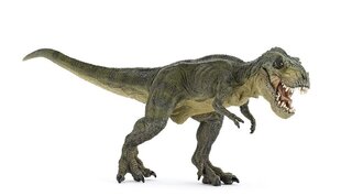 Фигурка Papo T-Rex, зеленая цена и информация | Игрушки для мальчиков | hansapost.ee