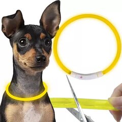 Светодиодный ошейник для собак Purlov, 70 x 1.2 см, желтый цена и информация | Ошейники, подтяжки для собак | hansapost.ee