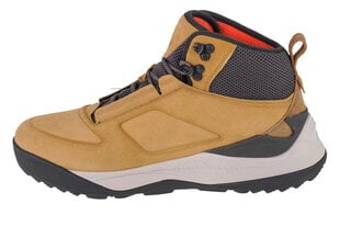 Мужские ботинки 4F Tundra Boots M 4FAW22FWINM01, песочного цвета цена и информация | Мужские ботинки | hansapost.ee