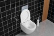 Peidetud wc paagi komplekt Kasos hind ja info | WС-potid | hansapost.ee