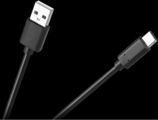 USB C kaabel, 3 m hind ja info | Juhtmed ja kaablid | hansapost.ee