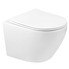 Seinale kinnitatav WC-pott Kasos hind ja info | WС-potid | hansapost.ee