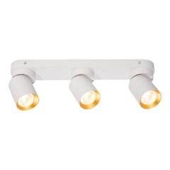 потолочный светильник, 230 в/50 гц, белый цена и информация | Потолочные светильники | hansapost.ee