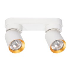 двойной потолочный светильник, белый цена и информация | Потолочные светильники | hansapost.ee