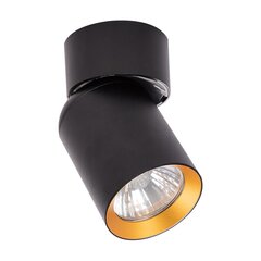 потолочный светильник 1xgu10, черный цена и информация | Потолочные светильники | hansapost.ee