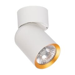 потолочный светильник, белый цена и информация | Потолочные светильники | hansapost.ee