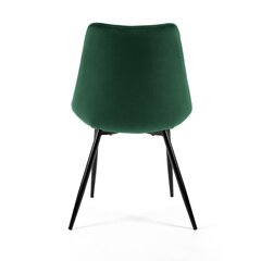 комплект из 2 стульев Akord SJ.0488, зеленый цена и информация | Стулья для кухни и столовой | hansapost.ee
