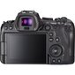 Canon EOS R6 + RF 600mm f/11 IS STM hind ja info | Fotoaparaadid | hansapost.ee
