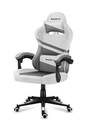 Игровое кресло HUZARO FORCE 4.4 White Mesh Gaming Chair, белый цена и информация | Huzaro Компьютерная техника | hansapost.ee