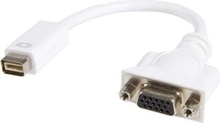 StarTech Mini DVI/VGA, 0.2 m hind ja info | Juhtmed ja kaablid | hansapost.ee