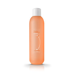 Puhastusvahend Silcare The Garden of Colour Melon Orange 1000 ml цена и информация | Лаки, укрепители для ногтей | hansapost.ee