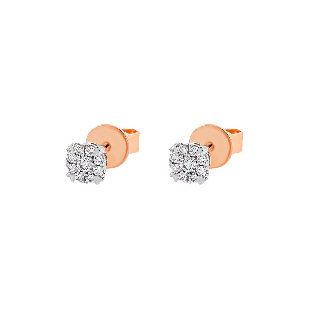 Kuldsed teemantidega kõrvarõngad naistele hind ja info | Kõrvarõngad | hansapost.ee