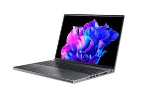 Acer Swift SFX16-61G-R21B (NX.KFPEL.001) цена и информация | Ноутбуки | hansapost.ee