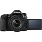 Canon EOS 80D 18-135mm IS USM - demonstratsioon (expo) цена и информация | Fotoaparaadid | hansapost.ee