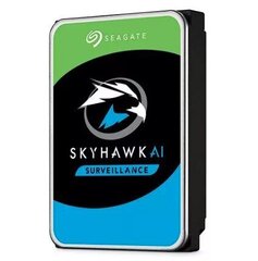 Seagate SkyHawk ST24000VE002 цена и информация | Внутренние жёсткие диски (HDD, SSD, Hybrid) | hansapost.ee