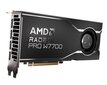 AMD Radeon Pro W7700 (100-300000006) цена и информация | Videokaardid | hansapost.ee