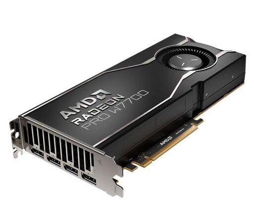 AMD Radeon Pro W7700 (100-300000006) hind ja info | Videokaardid | hansapost.ee