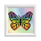 Teemantmosaiik Rainbow butterfly DD Kit with frame hind ja info | Teemantmaalide komplektid | hansapost.ee