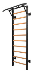 Wooden wall bar TOORX LDX-3000 single 120.8x51.8x233 cm цена и информация | Шведские стенки | hansapost.ee