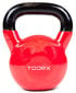 Sangpomm Toorx Kettlebell, 10 kg цена и информация | Hantlid, kangid, raskused | hansapost.ee