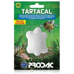 Prodac Tartacal toit vesikilpkonnadele, 15g/12 цена и информация | Корм для экзотических животных | hansapost.ee