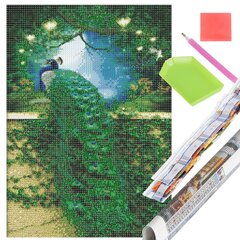 Арт-набор daimond painting Springos DP0047, 30х40 см цена и информация | Живопись по номерам | hansapost.ee