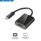 Adapter Trust 21011 цена и информация | USB adapterid ja jagajad | hansapost.ee