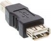 InLine 33442 цена и информация | USB adapterid ja jagajad | hansapost.ee