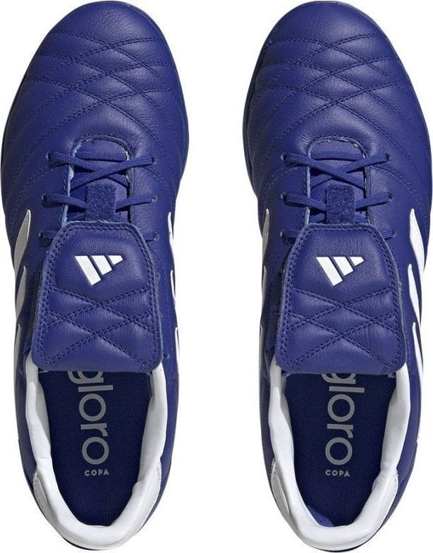 Jalgpallijalatsid Adidas Copa Gloro Tf GY9061, sinine цена и информация | Putsad ja muud jalgpallijalatsid | hansapost.ee