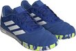 Jalgpallijalatsid Adidas Copa Gloro IN FZ6125, sinine hind ja info | Putsad ja muud jalgpallijalatsid | hansapost.ee