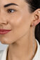 Brilio Silver Pikad hõbedased kõrvarõngad läbipaistvate tsirkoonidega EA1010W hind ja info | Kõrvarõngad | hansapost.ee