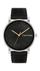 Calvin Klein CK Slate мужские часы цена и информация | Мужские часы | hansapost.ee