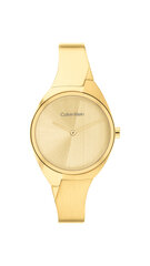 Женские часы Calvin Klein 25200236 цена и информация | Женские часы | hansapost.ee