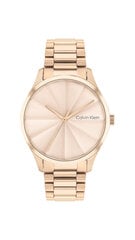 Calvin Klein CK Burst unisex часы цена и информация | Женские часы | hansapost.ee