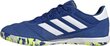 Jalgpallijalatsid Adidas Copa Gloro IN, suurus 46, sinine hind ja info | Putsad ja muud jalgpallijalatsid | hansapost.ee