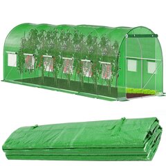 Kasvuhoonekile Springos GT0005F 6x3x2 m hind ja info | Springos Aiakaubad | hansapost.ee