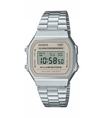 Женские часы Casio AQ-230A-2A2MQYES цена и информация | Мужские часы | hansapost.ee