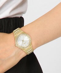 Boss Candor женские часы цена и информация | Hugo Boss Женские аксессуары | hansapost.ee