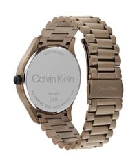 Calvin Klein Iconic unisex käekell hind ja info | Käekellad naistele | hansapost.ee