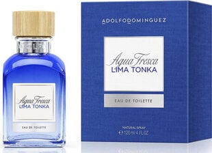 Tualettvesi Adolfo Dominguez A Dominguez Agua Fresca Ltonka EDT naistele/meestele, 120ml price and information | Parfüümid naistele | hansapost.ee