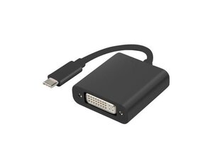 Lanberg AD-UC-DV-01 цена и информация | Адаптеры, USB-разветвители | hansapost.ee