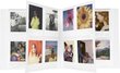 Fotoalbum Polaroid i-Type, 160 fotot hind ja info | Pildiraamid | hansapost.ee