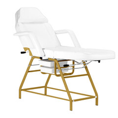 Kosmeetiline tool 557G, valge hind ja info | Ilusalongi mööbel | hansapost.ee